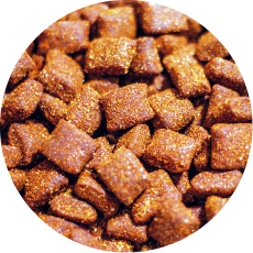 Un montón de comida para perros en círculo.